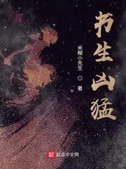 《书生凶猛》小说封面