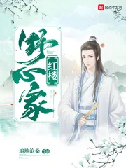 《红楼野心家》小说封面