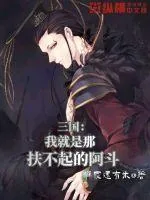 《三国之我是那扶不起的阿斗》小说封面
