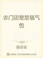《农门团宠是福气包》小说封面