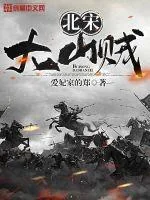 《北宋大山贼》小说封面