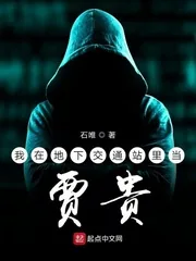 《我在地下交通站里当贾贵》小说封面