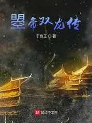 《曌帝双龙传》小说封面