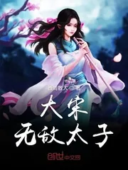 《大宋无敌太子》小说封面