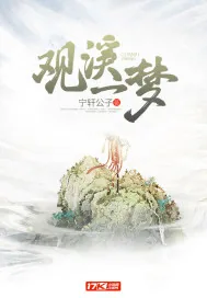 《观溪一梦》小说封面