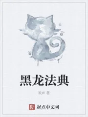 《黑龙法典》小说封面