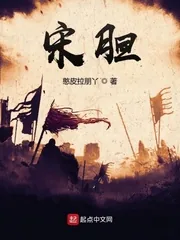 《宋胆》小说封面