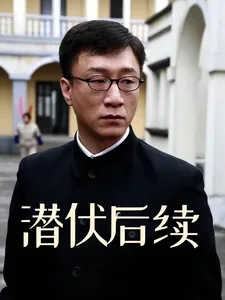 《潜伏后续》小说封面
