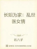 《长姐为家:乱世医女情》小说封面