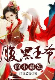《腹黑王爷的小毒妃》小说封面