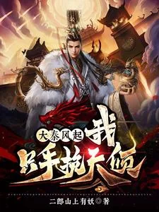 《大秦风起，我只手挽天倾》小说封面