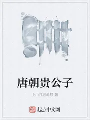 《唐朝贵公子》小说封面