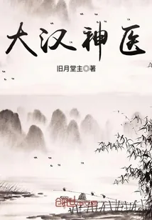 《大汉神医》小说封面