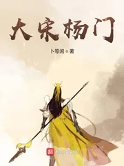 《大宋杨门》小说封面