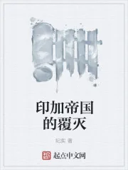 《印加帝国的覆灭》小说封面