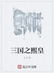 《三国之熙皇》小说封面