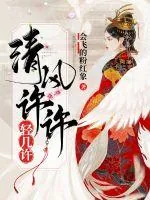 《清风徐徐轻几许》小说封面