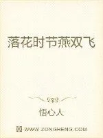 《落花时节燕双飞》小说封面