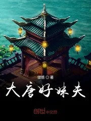 《大唐好妹夫》小说封面