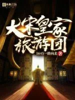 《大宋皇家旅游团》小说封面