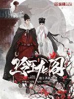 《玲珑阁》小说封面