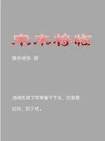 《宋末将临》小说封面