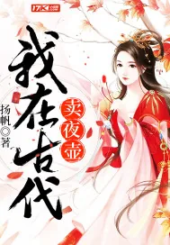 《我在古代卖夜壶》小说封面