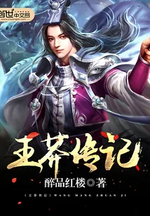 《王莽传记》小说封面