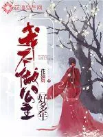 《我不做公主好多年》小说封面