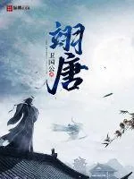 《翊唐》小说封面