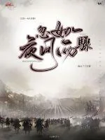 《忽如一夜风雨骤》小说封面