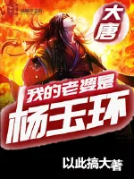 《我的老婆是杨玉环》小说封面