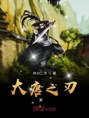《大唐之刃》小说封面