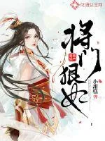 《将门狠妃》小说封面