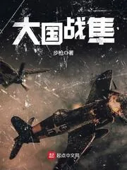 《大国战隼》小说封面