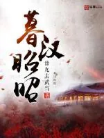 《暮汉昭昭》小说封面