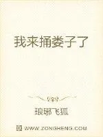 《我来捅娄子了》小说封面