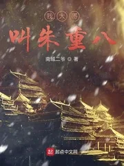 《我大哥叫朱重八》小说封面
