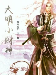 《大明小财神》小说封面