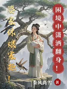 《婆家休娘家拒！困境中潇洒翻身！》小说封面
