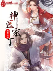 《神医家丁》小说封面