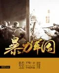 《抗日之暴力军团》小说封面