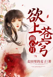 《欲上苍穹画心月》小说封面