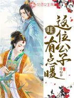 《哇，这位公子有点暖》小说封面