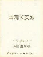 《雪满长安城》小说封面