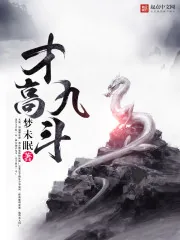 《才高九斗》小说封面