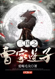 《三国之曹家逆子》小说封面