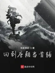《回到唐朝当首辅》小说封面