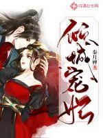 《倾城宠妃》小说封面