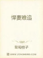 《悍妻难追》小说封面